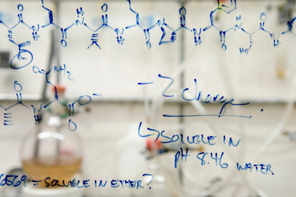 Notes, equations and chemical structures of peptides, fragments of proteins, are written on the glass of a fume hood in Laura L. Kiessling's research lab