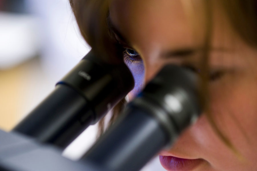 A summer science camp participant peers into a microscope