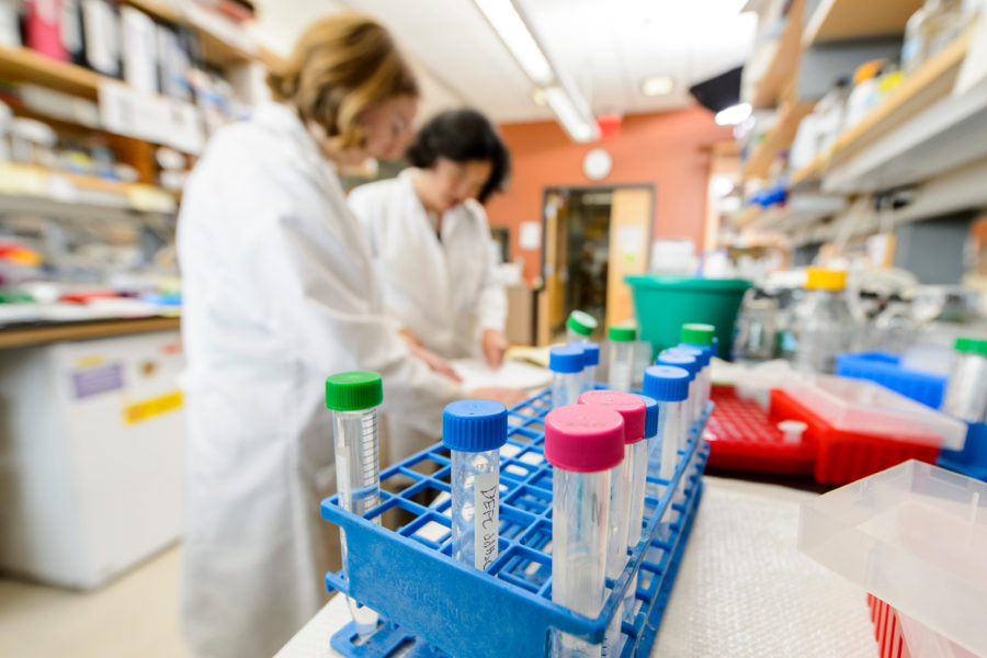 Jue "Jade" Wang (right), associate professor in the Department of Bacteriology at the University of Wisconsin-Madison, works with student Christina Johnson (left) in Wang's lab in the Microbial Sciences Building