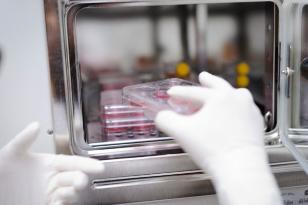 Stem-cell cultures being placed in a temperature-controlled cabinet in the Zhang research lab at the Waisman Center at UW-Madison