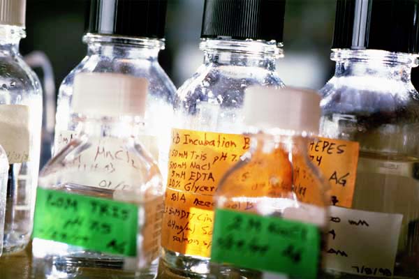 Chemical samples in a Biomolecular Chemistry research lab