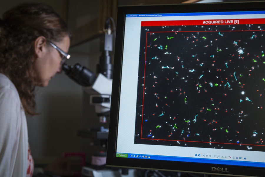 GEAM researcher looking through microscope with monitor in the foreground