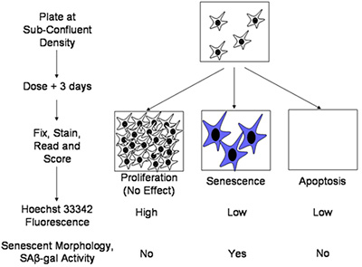 HTS at SMSF identified compounds that induce senescence from a 4160 compound library