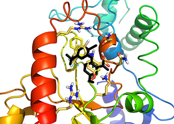 Small-molecule tools for dissecting the roles of SSB/protein interactions in genome maintenance.