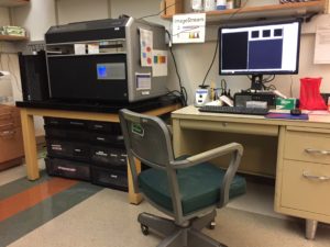 UW Flow Cytometry ImageStreamX MarkII