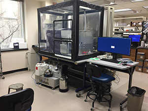 BD FACSAria "Jayne". Cell sorter equipped with 5 lasers and 18 fluorescence detection channels.